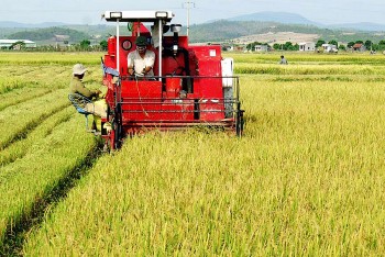 Hưng Yên đẩy mạnh cơ giới hóa trong sản xuất nông nghiệp