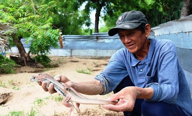 Ông Trịnh Lân là người tiên phong nuôi dông và hiện đang nuôi 2.000 dông thương phẩm.