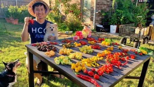 Chàng trai Việt sang Mỹ trồng 500 giống ớt xen lẫn rau và hoa để vơi nỗi nhớ quê hương