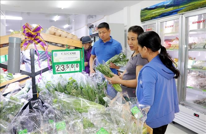 Nam Định khuyến khích nông dân sản xuất, tiêu thụ nông sản an toàn