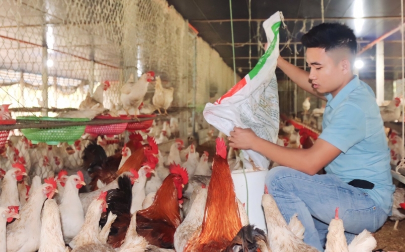 Ông chủ trẻ Nguyễn Hữu Hiếu bên trang trại nuôi gà