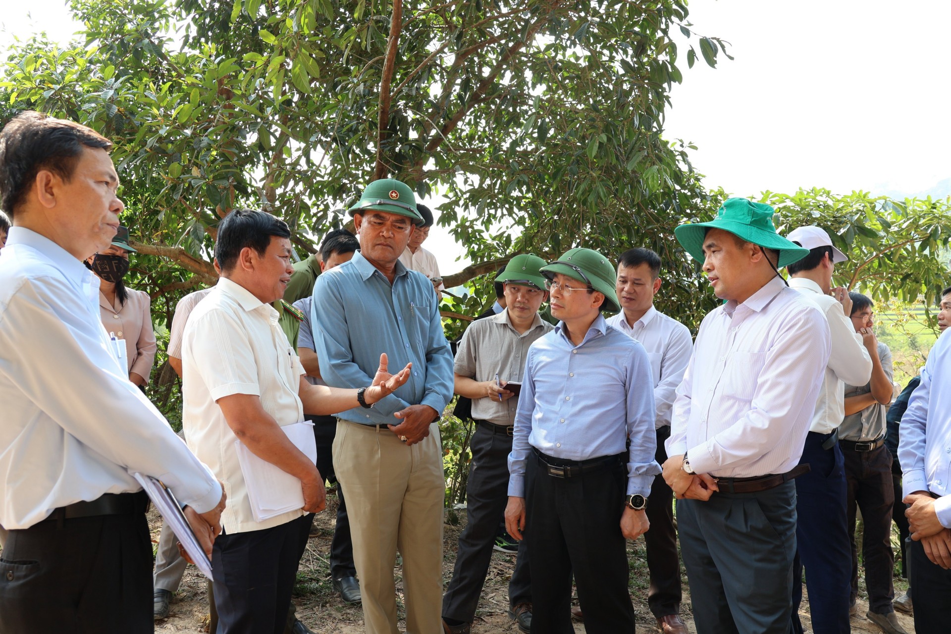 Đắk Lắk vẫn là một trong những “điểm nóng” về phá rừng, khai thác lâm sản trong cả nước