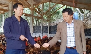 Yên Thế (Bắc Giang): Hội Nông dân thi đua sản xuất, kinh doanh giỏi tạo động lực xây dựng nông thôn mới