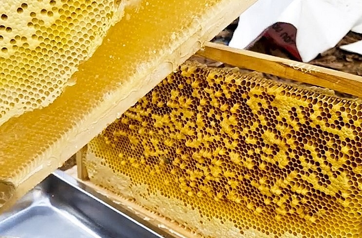 Bình quân mỗi cầu ong sẽ cho 1 chai mật nguyên chất.