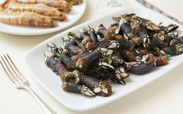 Người châu Âu vô cùng yêu thích loại thực phẩm ốc móng rồng và dùng trong bữa tiệc xa hoa.