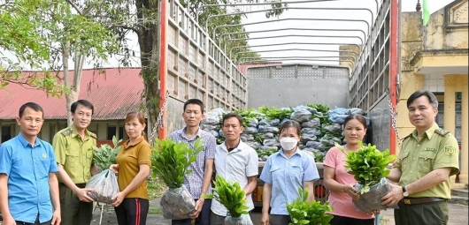 Chiêm Hóa (Tuyên Quang): Giao trên 200 nghìn cây giống lâm nghiệp cho các hộ dân phủ xanh đồi núi trọc