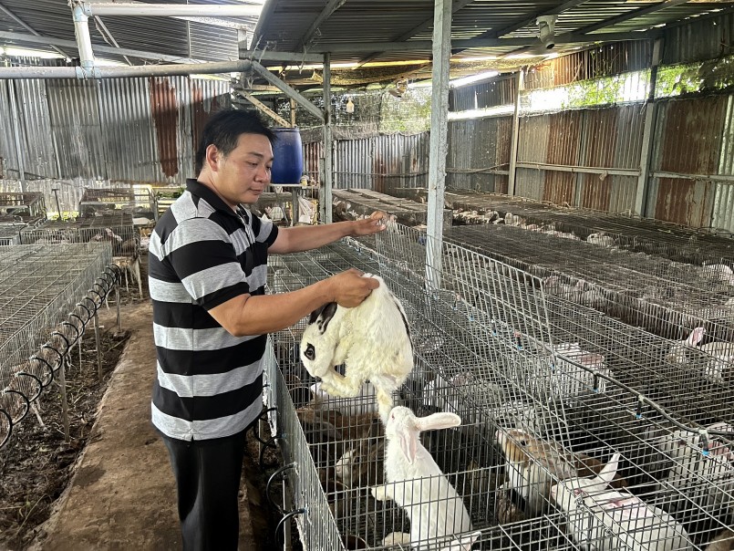 Anh Phúc sở hữu trại thỏ nuôi theo dạng công nghiệp quy mô “khủng” ở miền Tây