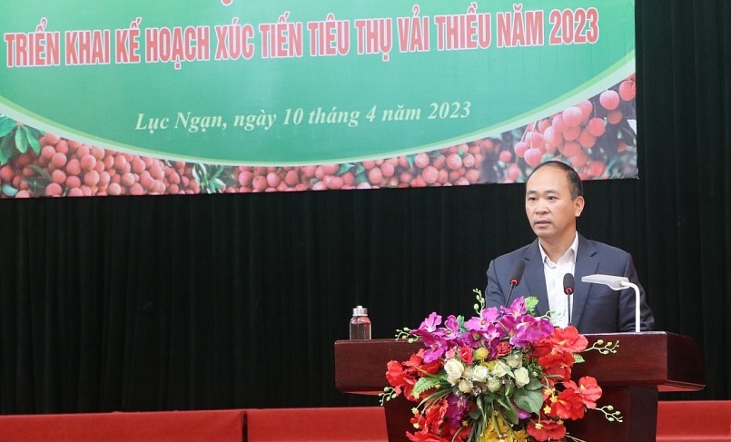 Lục Ngạn (Bắc Giang): Tổ chức hội nghị triển khai kế hoạch xúc tiến tiêu thụ vải thiều năm 2023