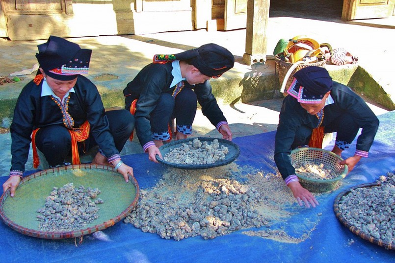 Người dân Lào Cai thu hoạch cánh kiến trắng. Ảnh: Báo Tin Tức