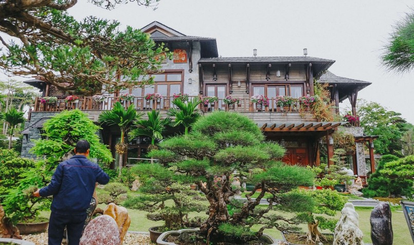 Bên phải biệt thự là khu vườn Việt với các loại cây thuần Việt như hồng xiêm, khế, phi lao, tùng… được các nghệ nhân tuyển chọn kỹ lưỡng và chăm sóc cẩn thận.
