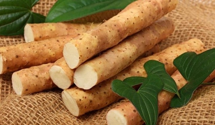 Loại củ xù xì, xấu xí có gì đặc biệt mà người trồng phải dùng máy xúc thu hoạch, bỏ túi tiền tỷ mỗi năm