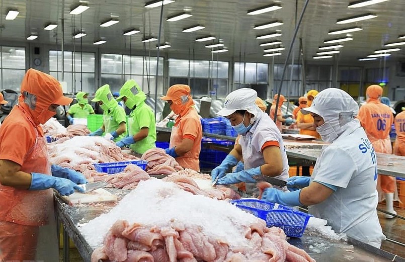 Thủy sản Việt Nam đang giữ vị trí số 1 trên thị trường Australia