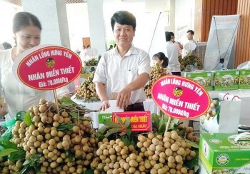 456 hợp tác xã và 276 tổ hợp tác nông nghiệp đang hoạt động tại Hưng Yên