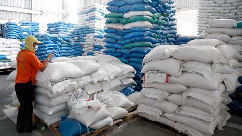 Xuất khẩu gạo trong tháng 3 lập kỷ lục mới