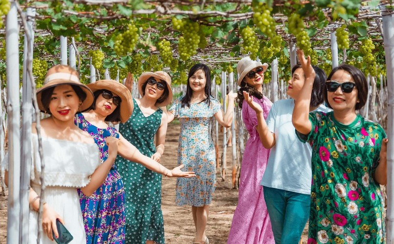 Du lịch trải nghiệm vườn nho là hoạt động không thể thiếu khi du khách đến Ninh Thuận.