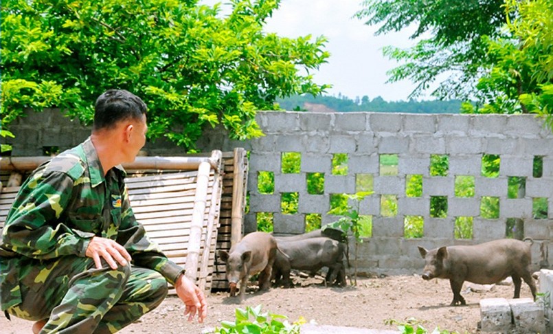 Lợn Táp Ná – tên gọi một giống lợn địa phương ở tỉnh Cao Bằng và một số tỉnh lân cận thuộc vùng núi phía Bắc. 