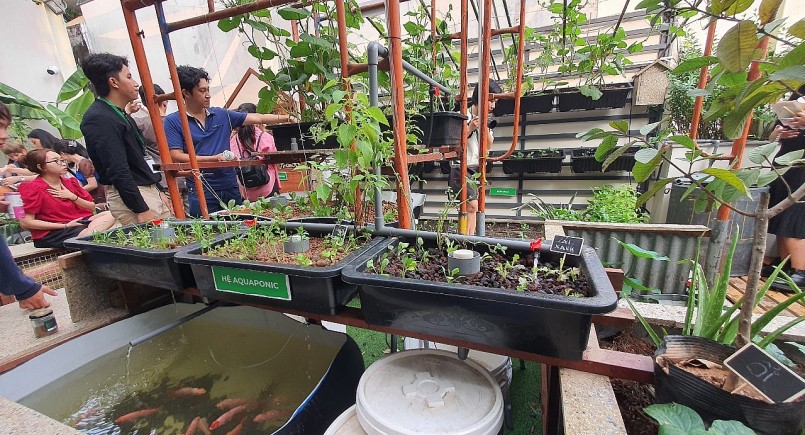 Hệ thống aquaponic - trồng rau kết hợp nuôi cá tại vườn.