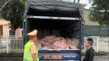 Nghệ An: Xử phạt 30 triệu đồng xe tải vận chuyển 600kg gà đông lạnh không rõ nguồn gốc