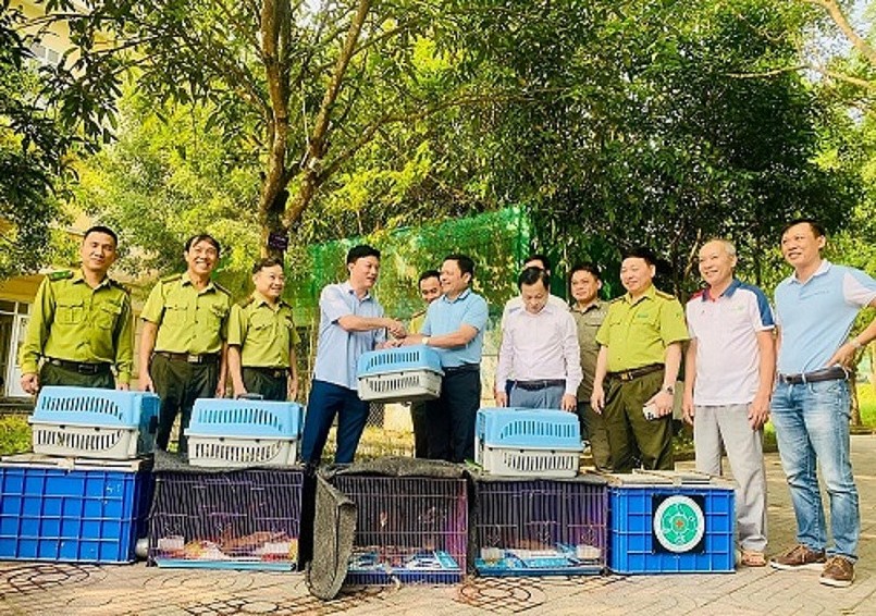 Hà Tĩnh: Vườn Quốc gia Vũ Quang tiếp nhận và thả 150 cá thể động vật về tự nhiên