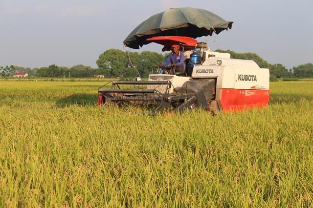 Huyên Thanh Oai nâng cáo chất lượng nông nghiệp.