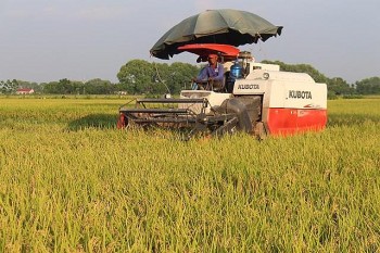 Huyện Thanh Oai (Hà Nội): Phát triển nông nghiệp sinh thái góp phần xây dựng Nông thôn mới