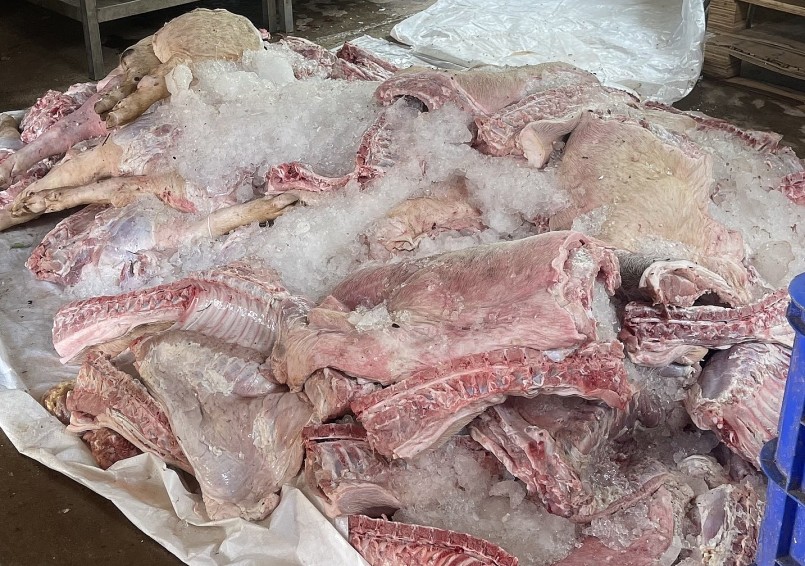 Đồng Nai: Phát hiện 1,7 tấn thịt heo đã bốc mùi hôi thối tại điểm thu mua sản phẩm động vật