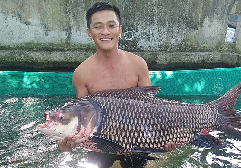 Anh Phan Minh Luận bên con cá hô nặng 37 kg.