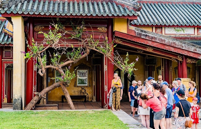 Triển lãm cây kiểng và phong lan ba miền được tổ chức tại Đại Nội Huế luôn thu hút du khách.