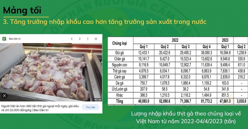 Lượng nhập khẩu thịt gà theo chủng loại về Việt Nam. Nguồn: Hiệp hội Gia cầm Việt Nam