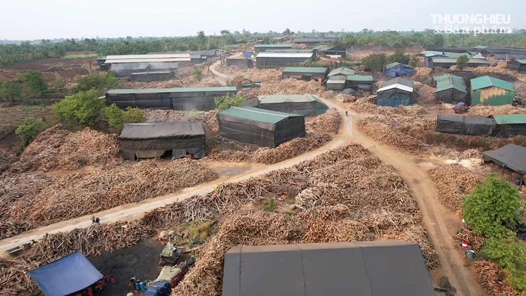 Đắk Lắk: Hàng trăm lò than gây 'nhả khói' gây ô nhiễm môi trường, nông dân bỏ làm rẫy chạy lấy người