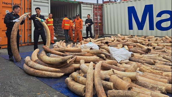 Phó thủ tướng Trần Lưu Quang biểu dương thành tích bắt giữ hơn 7 tấn ngà voi tại Hải Phòng