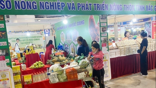 Hơn 50 sản phẩm đặc trưng  tỉnh Bắc Giang tham gia hội chợ OCOP Quảng Ninh - Hè 2023