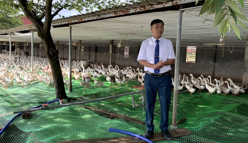 Lão nông Nguyễn Văn Mùi là đại gia chăn vịt đẻ mỗi năm lãi 1,5 tỷ đồng.