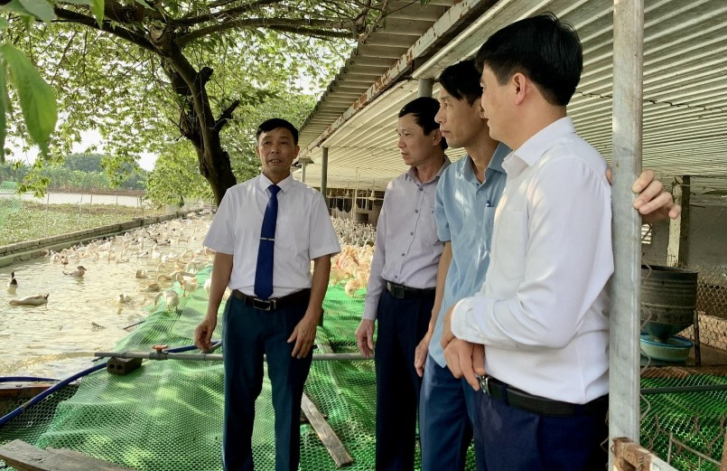 Ông Nguyễn Văn Mùi chia sẻ bí quyết nuôi vịt đẻ thu tiền tỷ.