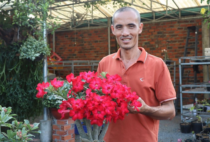 Anh nông dân Lại Ngọc Giàu với vườn hoa sứ độc đáo.