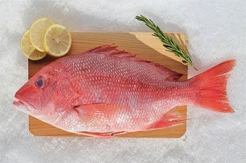 Một số loại cá nên thận trọng khi ăn để phòng nguy cơ ngộ độc