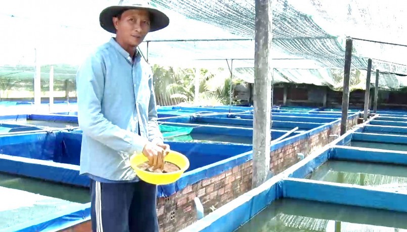 Anh Hồng chuyển nghề thợ hồ sang nuôi cá cảnh và có lợi nhuận cao.