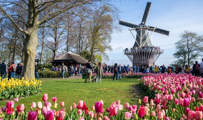 Vườn hoa Keukenhof ở Hà Lan được biết đến là vườn hoa lớn nhất thế giới và một trong những điểm đến du lịch nổi tiếng của châu Âu.
