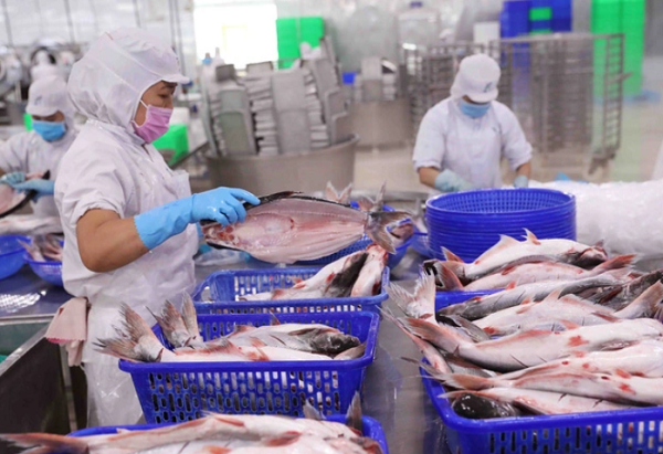 Vì sao xuất khẩu thủy sản sang Trung Quốc chưa thể bứt phá?