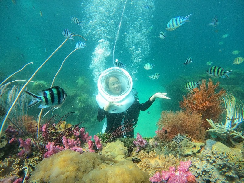 Trải nghiệm ngắm san hô tại Phú Quốc