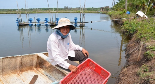Nuôi cá đặc sản “mặc áo hoa”, mỗi năm xuất bán 50 tấn, lão nông Kiên Giang lộ bí quyết thu tiền tỷ