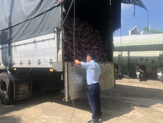 An Giang thu giữ gần 10 tấn tỏi tươi nhập khẩu không có nhãn phụ tiếng Việt
