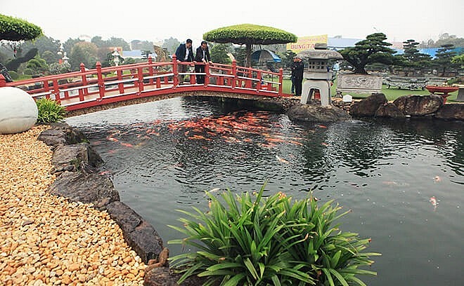 Hồ cá Koi được kiến trúc sư nổi tiếng tại Nhật thiết kế và hoàn thiện trong vòng 3 tháng.