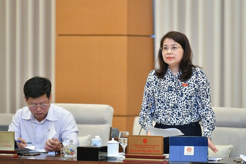 Phó Chủ nhiệm Ủy ban Pháp luật Trần Hồng Nguyên