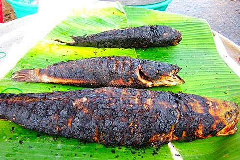 Cá lóc nướng trui – đậm đà hương vị của miền quê Nam Bộ