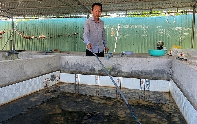Anh Trần Tấn Giang kiểm tra lươn thương phẩm.