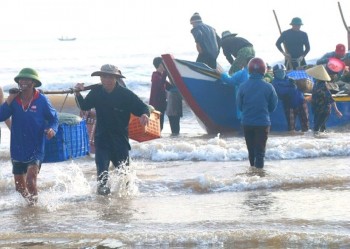 Ngư dân Hà Tĩnh trúng mùa cá, thu nhập “chục triệu” chỉ sau một đêm