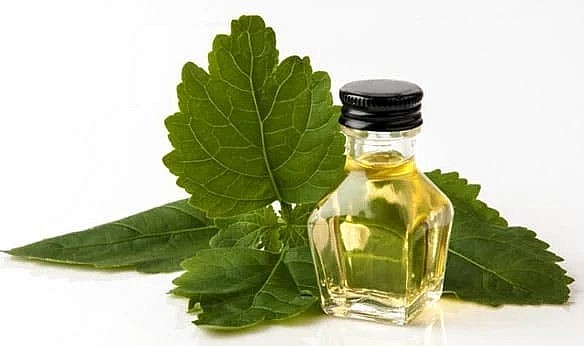 Cây hoắc hương còn được chiết xuất tinh dầu có tác dụng làm cho tinh thần thư thái và chống các bệnh hô hấp, tiêu hóa.
