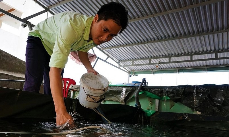 Anh Phan Thanh Nhật được biết đến là ông chủ của trại cá chọi mini Hà Lan lớn tại Đà Nẵng (Ảnh: Hoài Sơn).