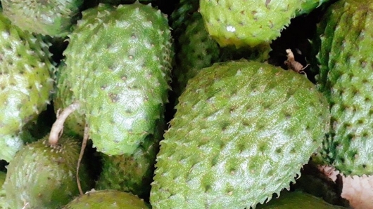 Thêm một loại trái cây gây sốt trong ngày hè, giá bán tăng vọt mở đầu cho hot trend mới